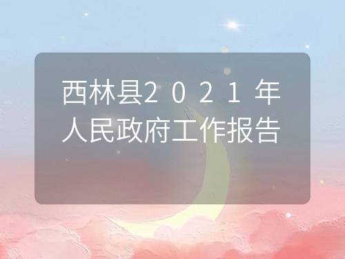 西林县数据和政务服务局最新发展规划深度探讨