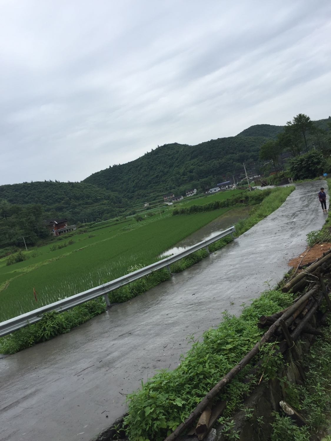 马站乡最新天气预报