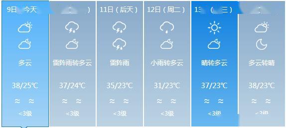 高村乡最新天气预报