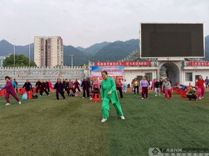 中山区文旅融合新篇章，文化广电体育旅游局推动城市文化名片重塑项目