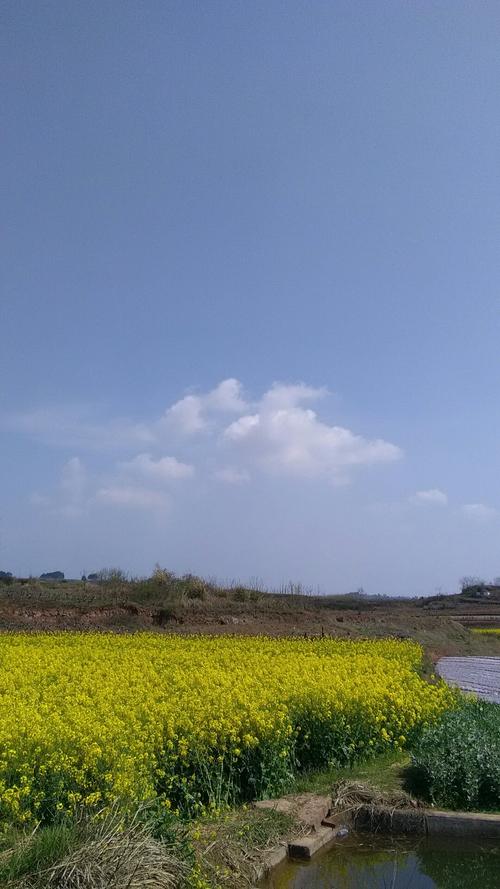 列夕乡天气预报更新通知