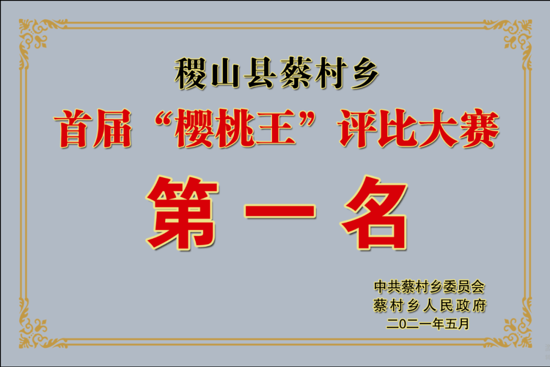 三井村人事任命揭晓，开启村庄新篇章