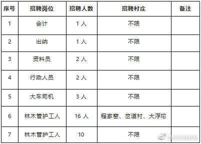 老林村最新招聘信息概览