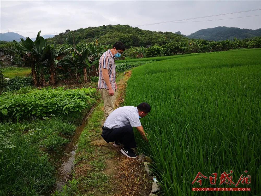 城厢区科技局最新新闻动态