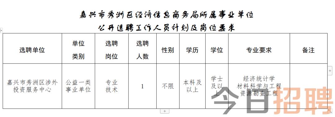 北湖区数据和政务服务局最新招聘信息详解