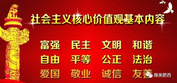 索金乡最新招聘信息概览