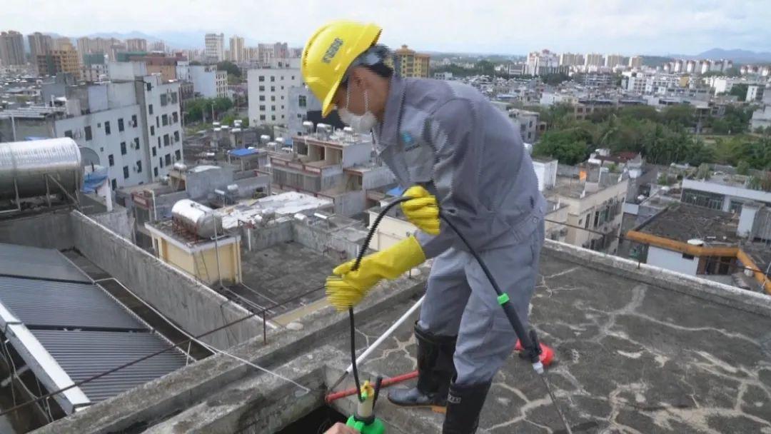 屯昌县小学领导团队全新概览