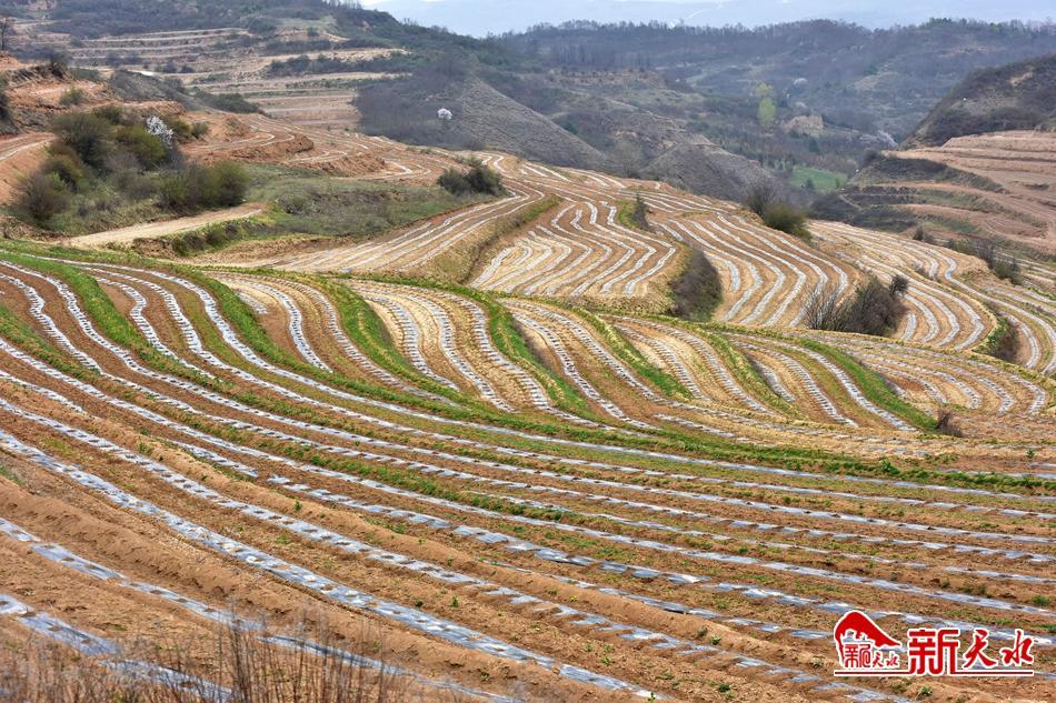 旗沟村民委员会最新项目，乡村振兴的新动力