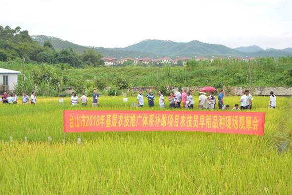 集安市农业农村局新项目推动农业现代化助力乡村振兴