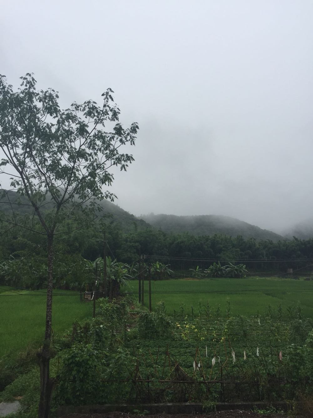 灵地镇天气预报更新通知