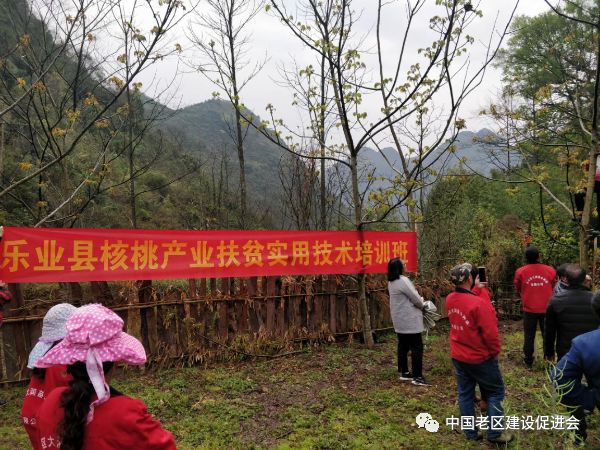 逻沙乡新项目，地方发展的强大推动力