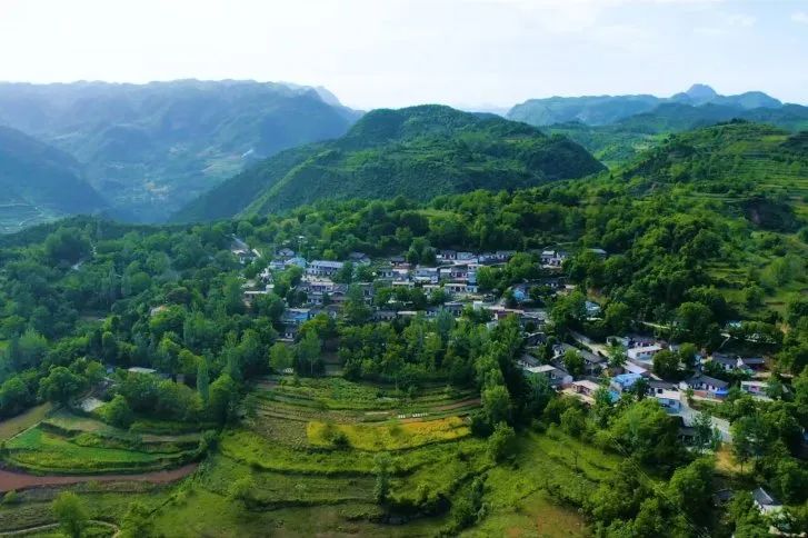 陈院镇新项目，地区发展的强大引擎引领者