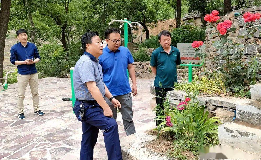 卜洞村委会新项目，乡村振兴与社区发展的融合实践探索