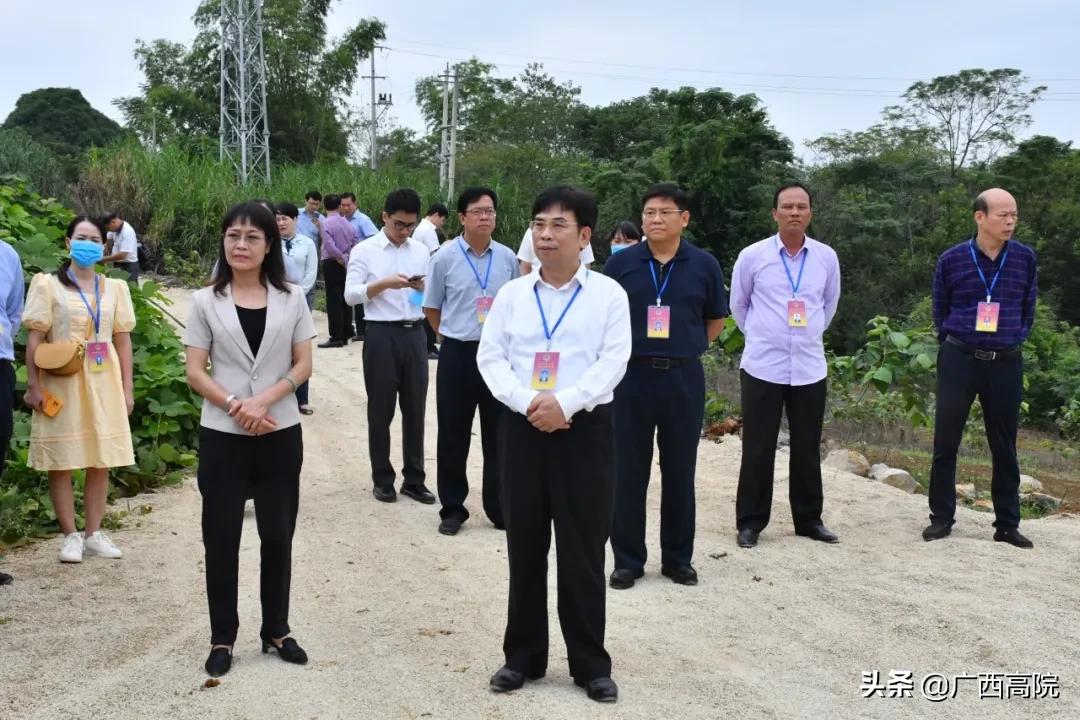 江州区医疗保障局最新动态报道，更新医疗保障政策，提升民生服务水平