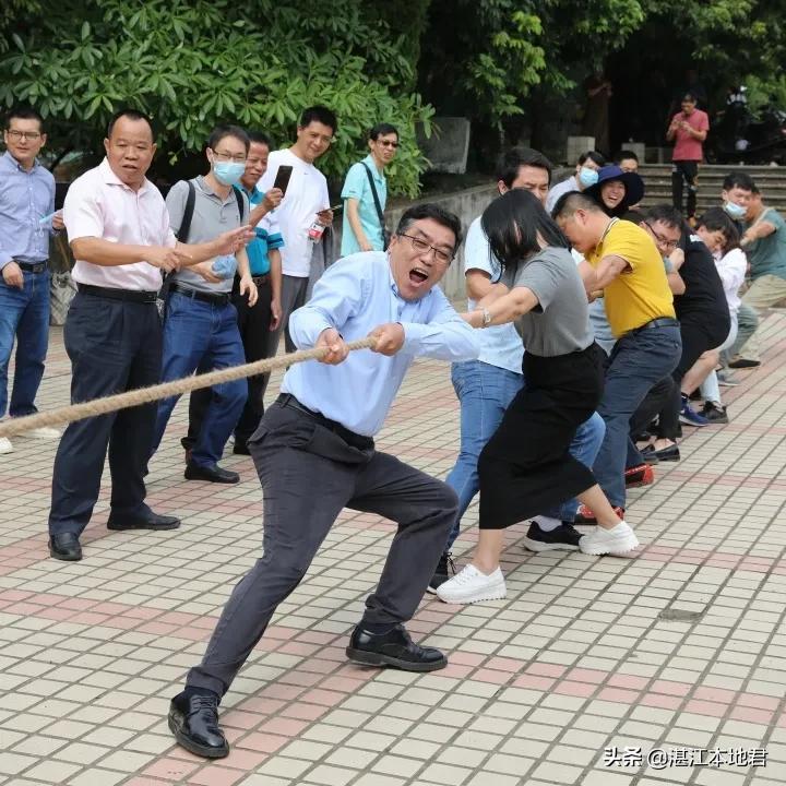 雷州市人民政府办公室最新项目概览