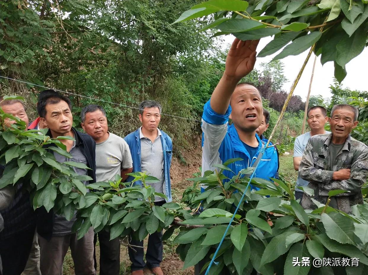 蒲城县成人教育事业单位最新动态与成就概览