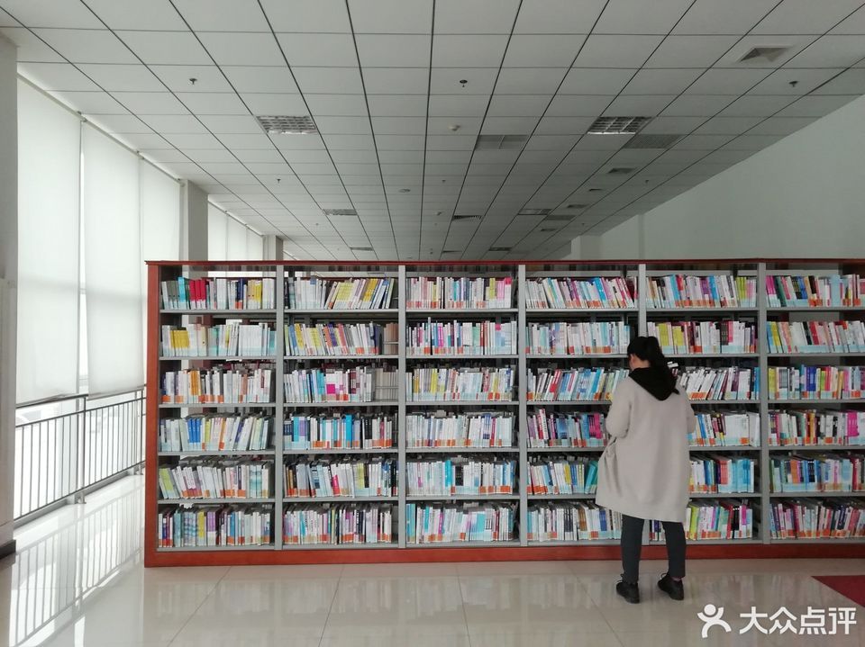 东丽区图书馆最新项目，引领未来阅读革新之旅